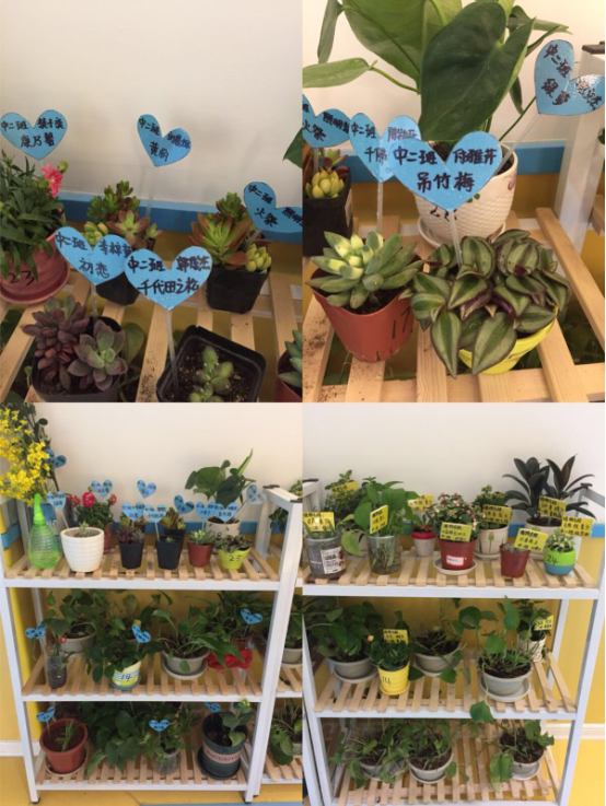 文檔(修)-讓“植物角”成為孩子親近自然“窗口”117.png