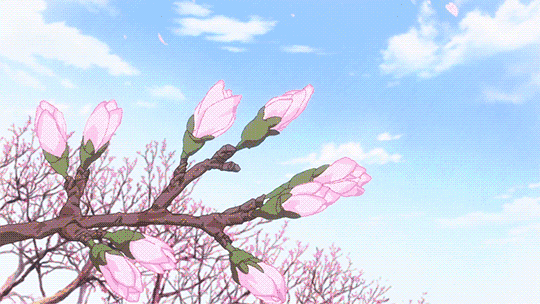 1610176094.gif 1610176094.gif