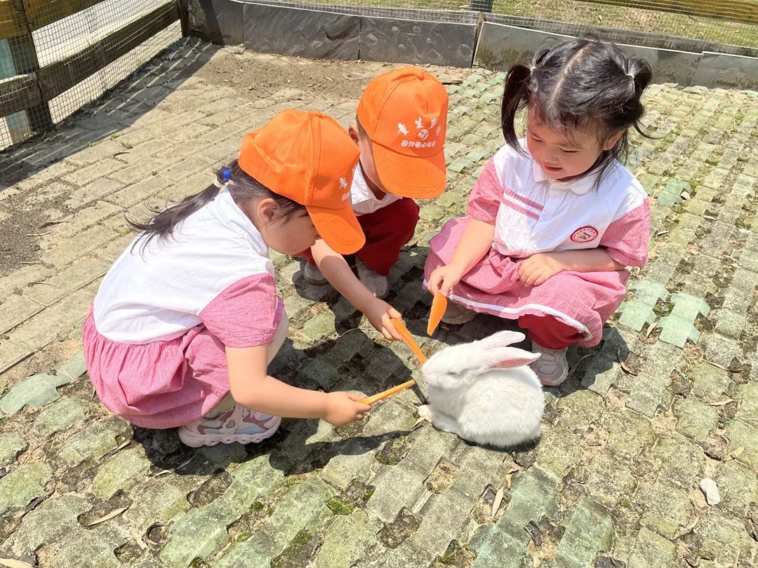 b8a193974dba07226349c7b057dd879d.jpg b8a193974dba07226349c7b057dd879d.jpg